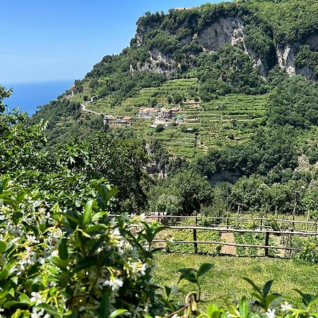 Agriturismo Orrido Di Pino Βίλα Agerola Εξωτερικό φωτογραφία