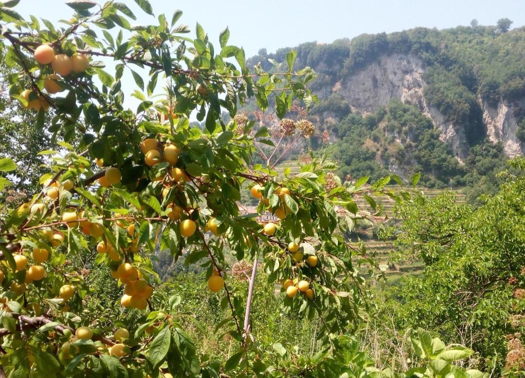 Agriturismo Orrido Di Pino Βίλα Agerola Εξωτερικό φωτογραφία