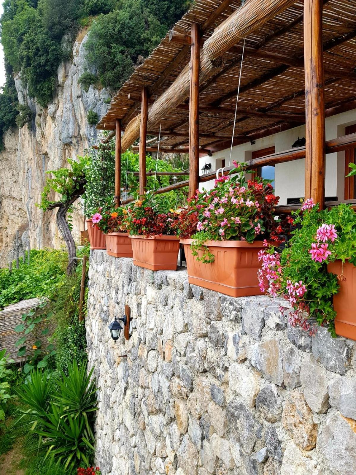 Agriturismo Orrido Di Pino Βίλα Agerola Εξωτερικό φωτογραφία