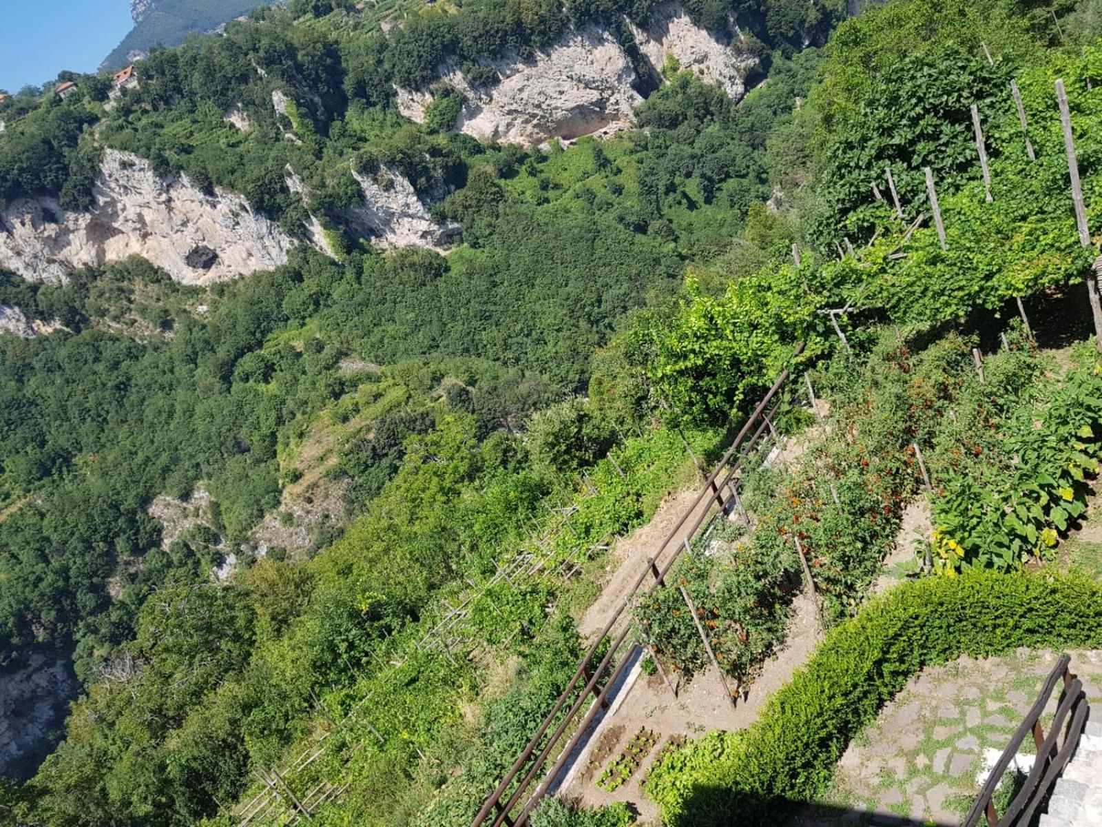 Agriturismo Orrido Di Pino Agerola Εξωτερικό φωτογραφία
