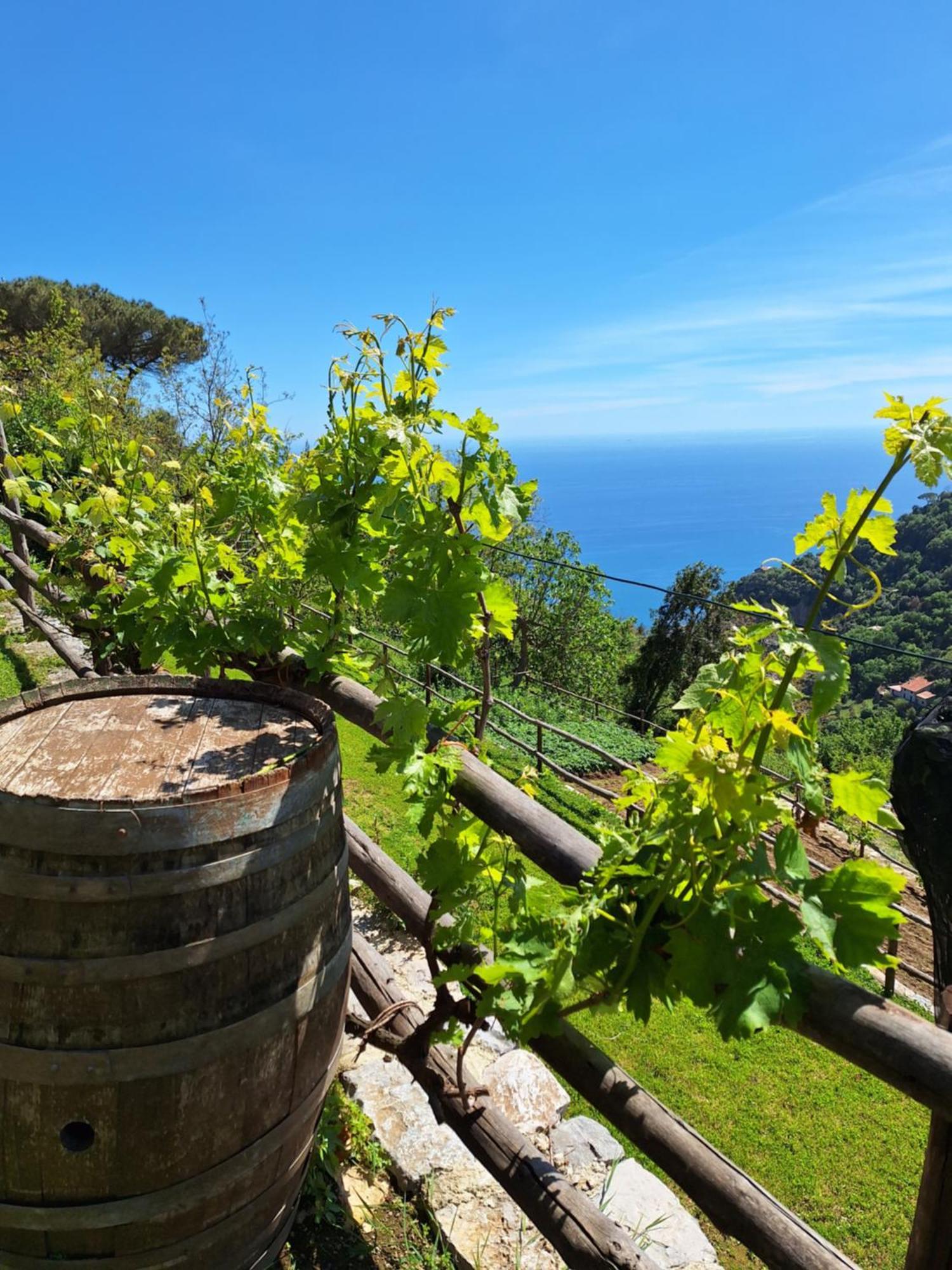 Agriturismo Orrido Di Pino Βίλα Agerola Εξωτερικό φωτογραφία