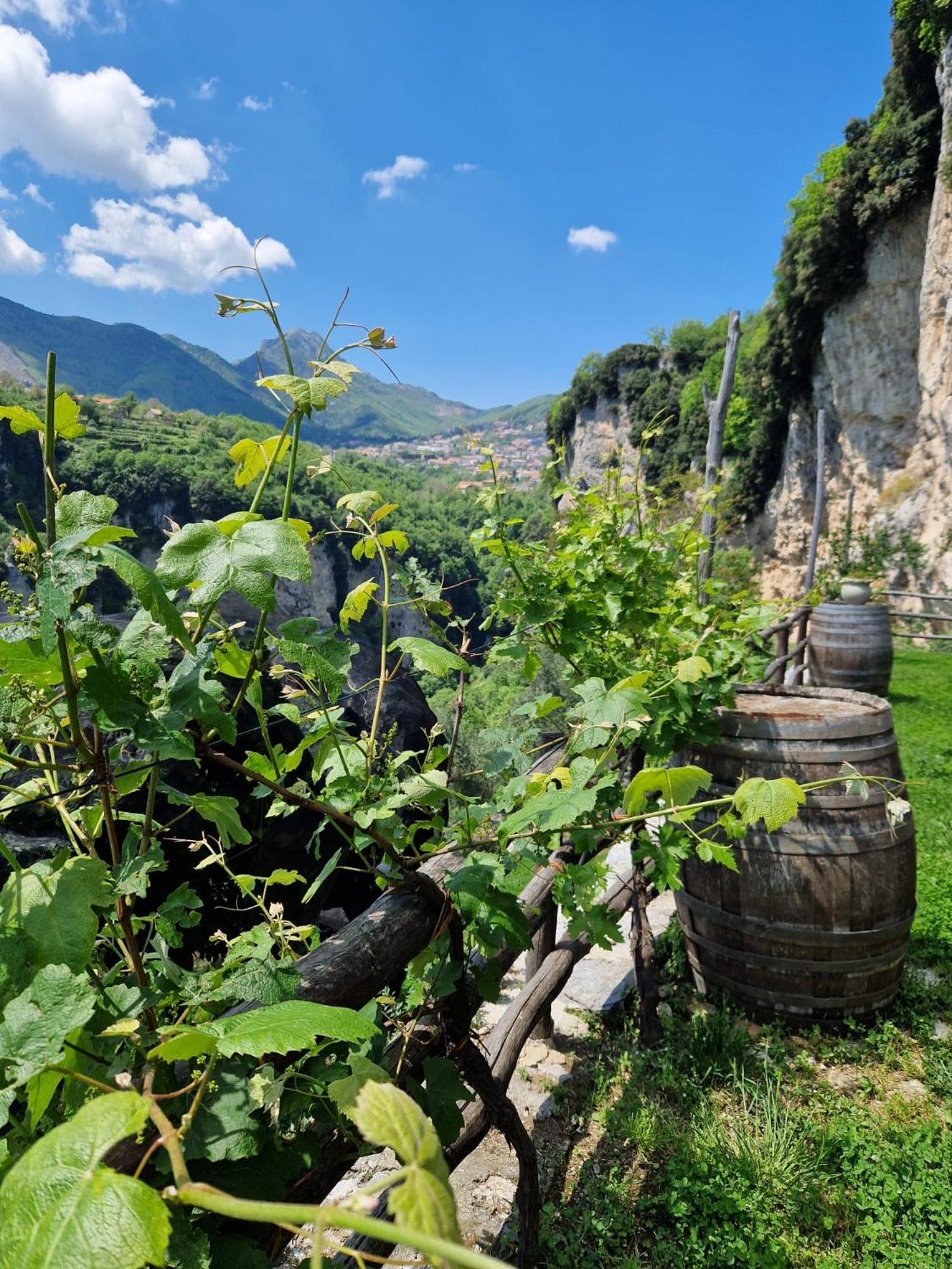Agriturismo Orrido Di Pino Agerola Εξωτερικό φωτογραφία