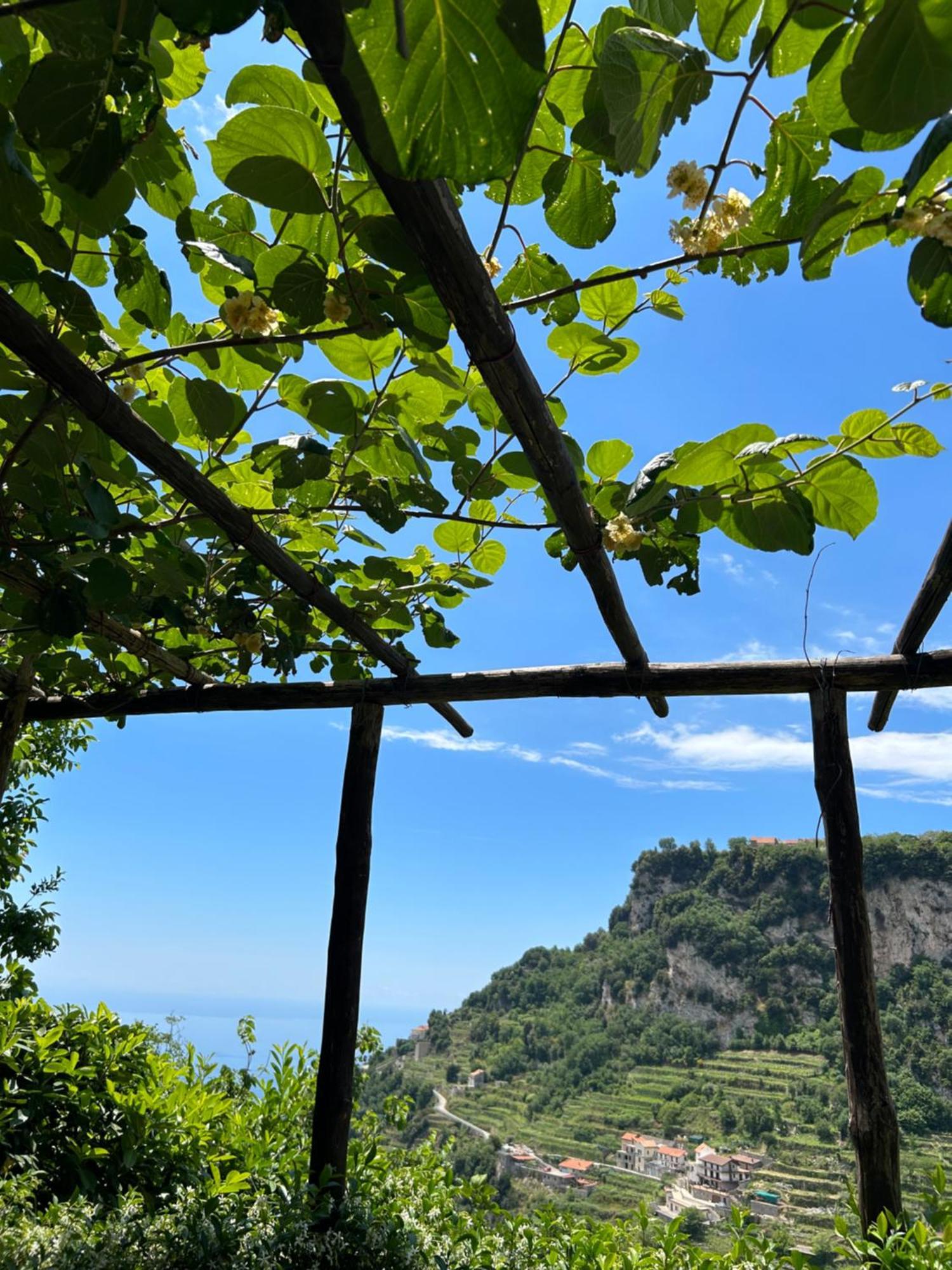 Agriturismo Orrido Di Pino Agerola Εξωτερικό φωτογραφία