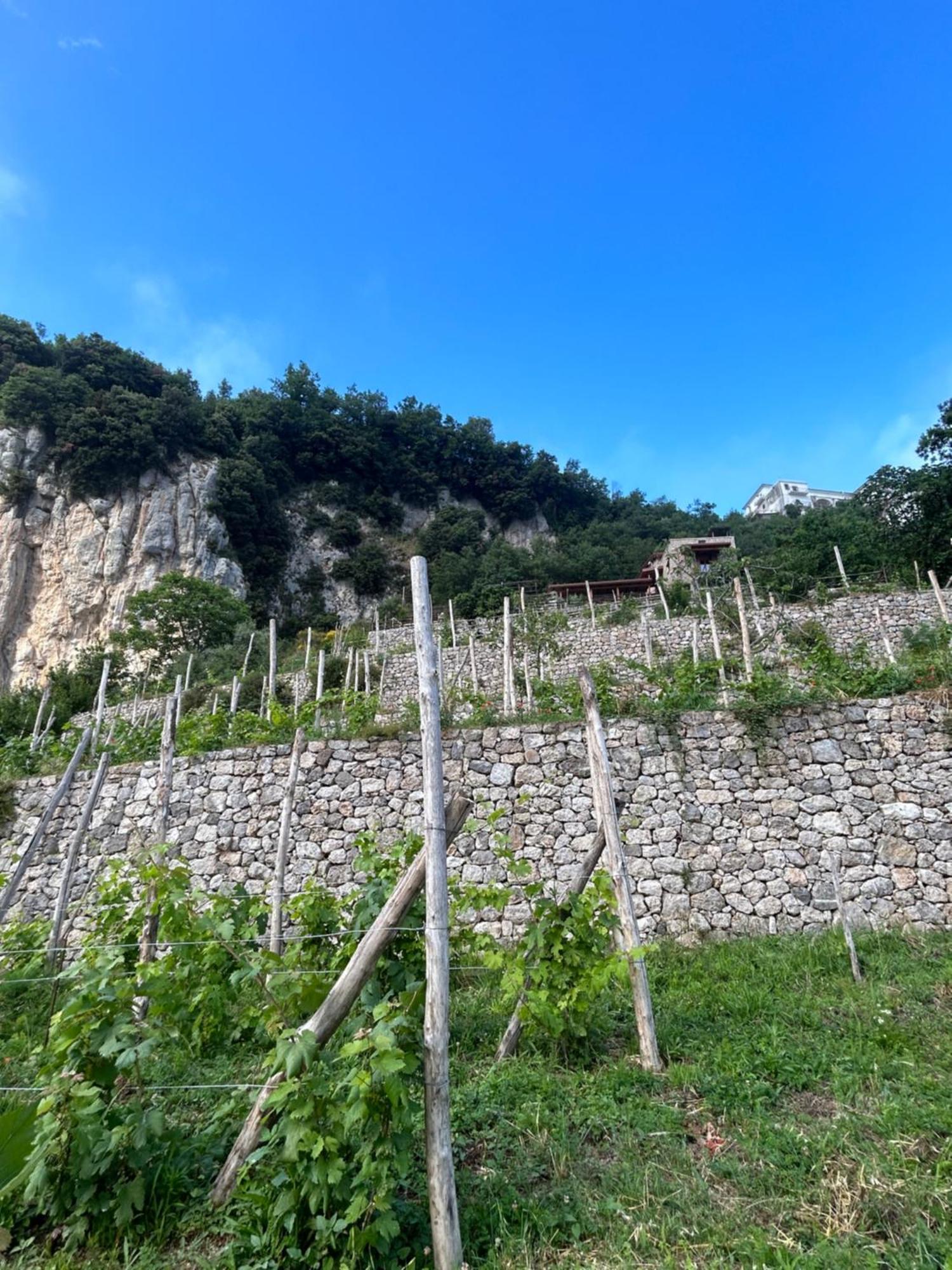 Agriturismo Orrido Di Pino Βίλα Agerola Εξωτερικό φωτογραφία