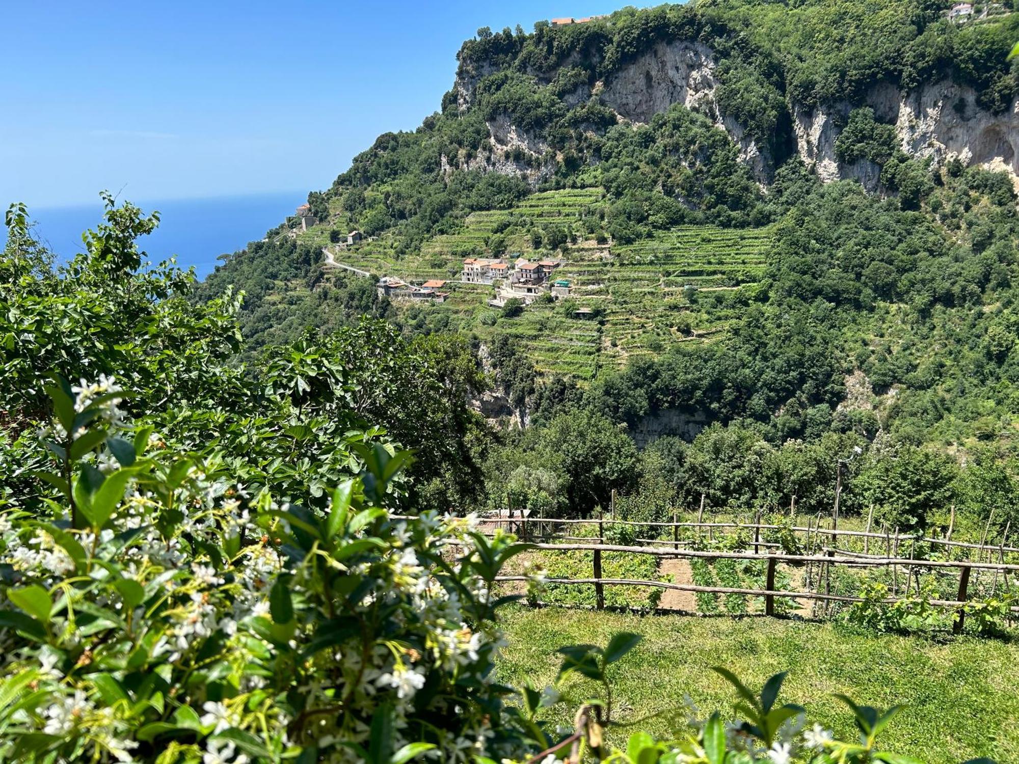 Agriturismo Orrido Di Pino Βίλα Agerola Εξωτερικό φωτογραφία