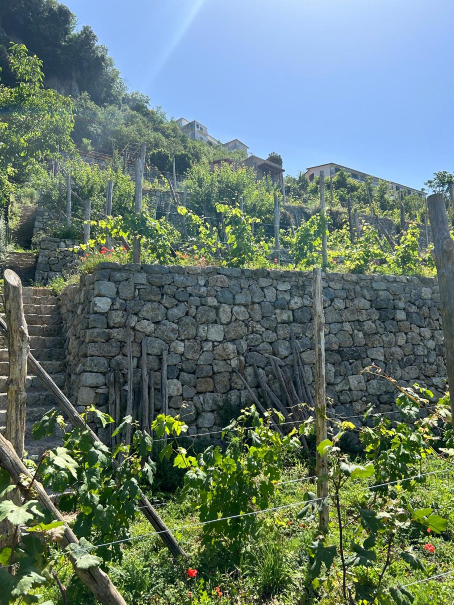 Agriturismo Orrido Di Pino Agerola Εξωτερικό φωτογραφία