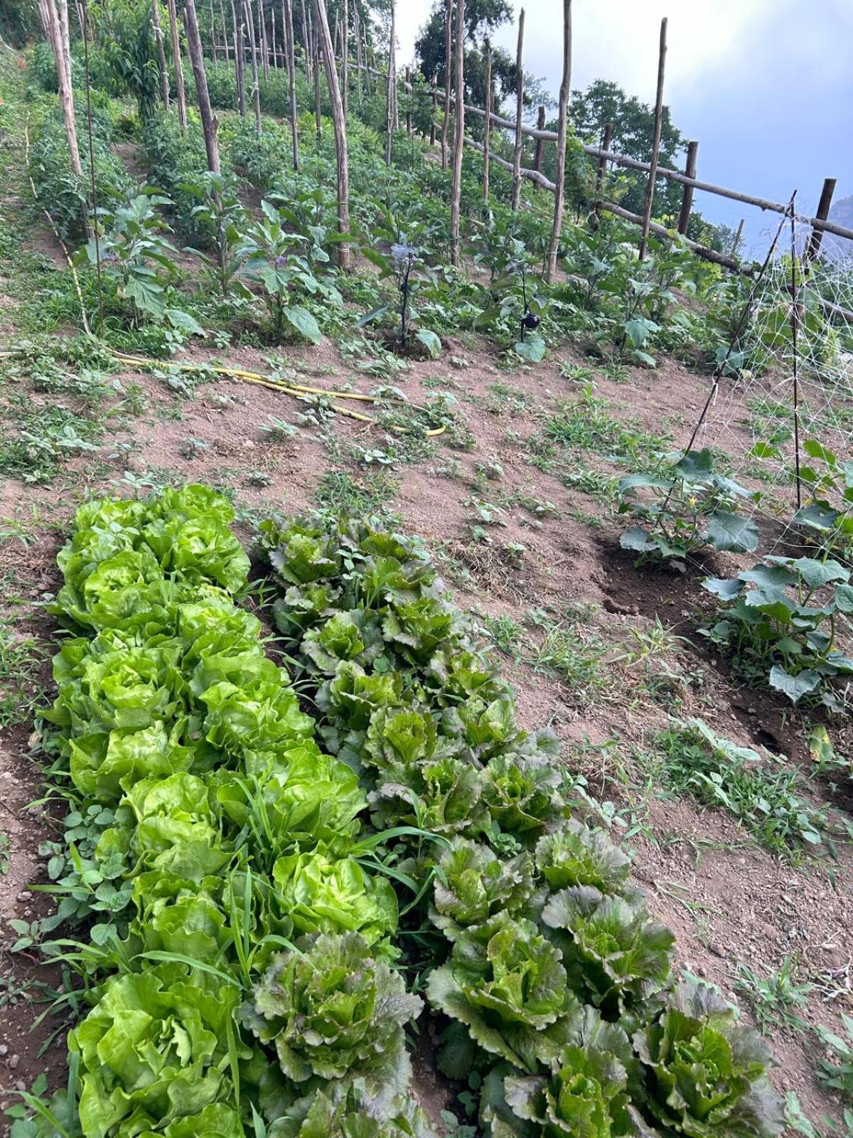 Agriturismo Orrido Di Pino Agerola Εξωτερικό φωτογραφία